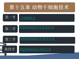 第15章动物干细胞技术.ppt.ppt
