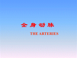 全身动脉动脉.ppt