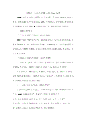 党组织书记抓党建述职报告范文.docx