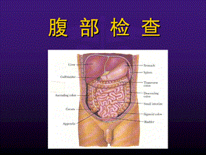 健康评估 腹部检查.ppt