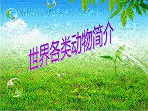 动物简介.ppt.ppt
