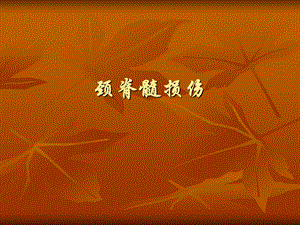 颈脊髓损伤培训.ppt