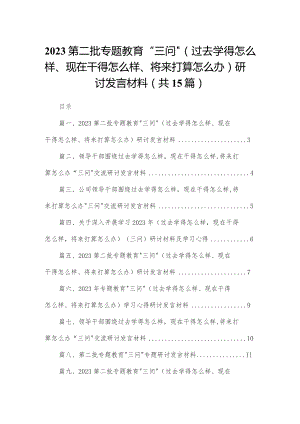 第二批专题教育“三问”（过去学得怎么样、现在干得怎么样、将来打算怎么办）研讨发言材料15篇（精编版）.docx