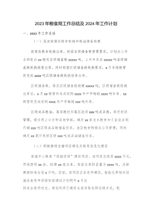 2023年粮食局工作总结及2024年工作计划.docx
