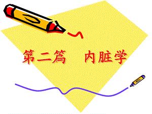 动物解剖学消化系统.ppt