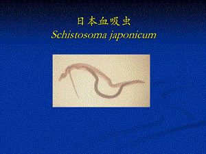 寄生虫血、肝、姜.ppt