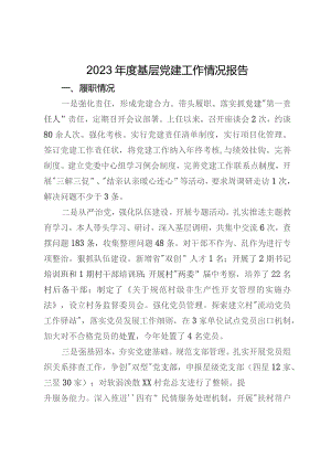 2023年度基层党建工作情况报告.docx