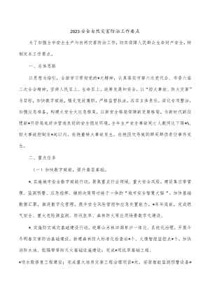 2023安全自然灾害防治工作要点.docx