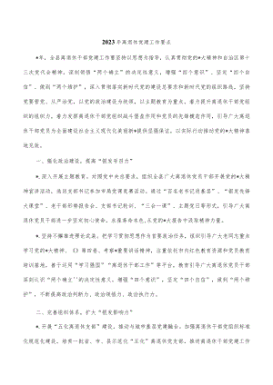 2023年离退休党建工作要点.docx
