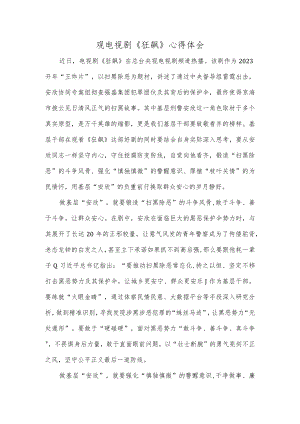 观电视剧《狂飙》心得体会.docx