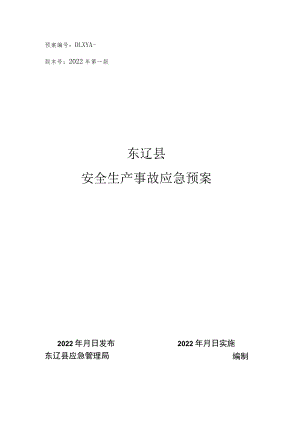 预案DLXYA-版本号2022年第一版东辽县安全生产事故应急预案.docx