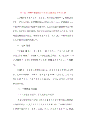 2023年粮食安全行政首长责任制落实情况汇报3篇.docx