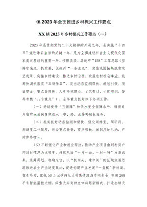（2篇）镇2023年全面推进乡村振兴工作要点.docx