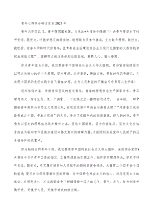青年心得体会研讨发言2023年.docx