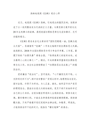 热映电视剧《狂飙》观后心得3篇.docx