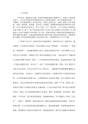 镇2022年工作总结及计划.docx
