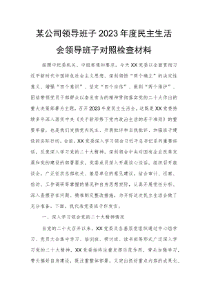 某公司领导班子2023年度民主生活会领导班子对照检查材料.docx