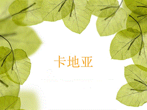 卡地亚研究分析报告.ppt