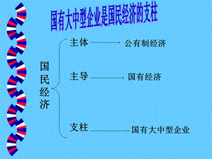 国有大中型企业.ppt