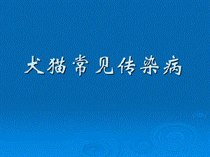 小动物常见传染病.ppt