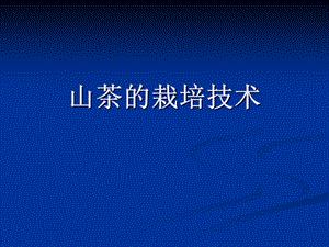 山茶的栽培技术.ppt