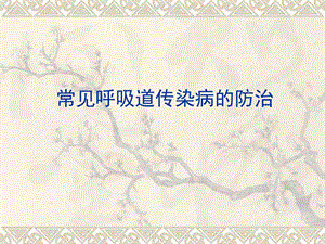 常见呼吸道传染病的防治.ppt