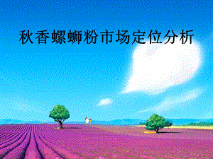 市场定位分析.ppt