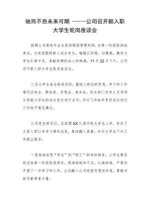 信息简报：公司召开新入职大学生轮岗座谈会.docx