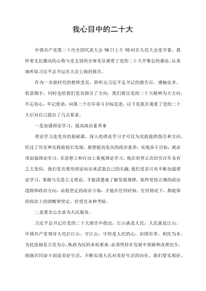 我心目中的二十大.docx