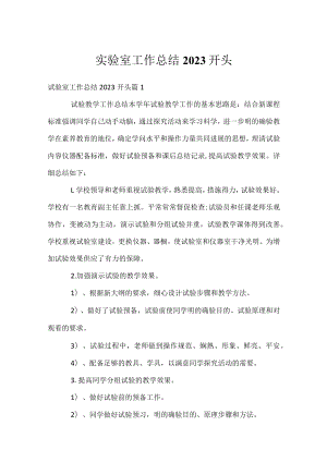 实验室工作总结2023开头.docx
