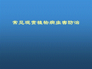 常见观赏植物病虫害防治.ppt