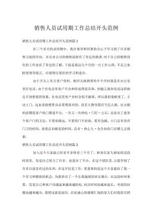 销售人员试用期工作总结开头范例.docx