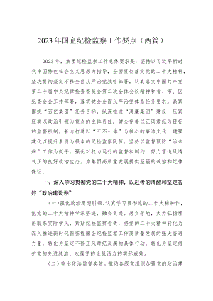 2023年国企纪检监察工作要点（两篇）.docx