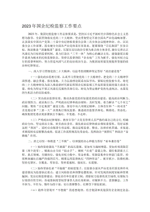 2023年国企纪检监察工作要点.docx