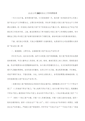 企业公司2023安全工作部署强调.docx