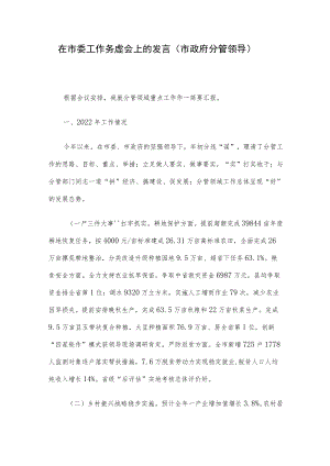 在市委工作务虚会上的发言（市政府分管领导）.docx