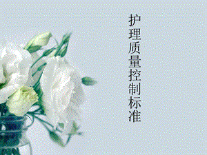护理质量控制标准.ppt