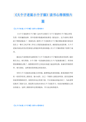 《大个子老鼠小个子猫》读书心得领悟六篇.doc