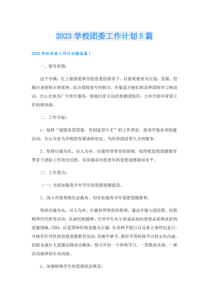 2023学校团委工作计划5篇.doc