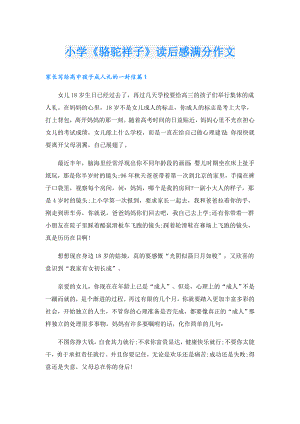 小学《骆驼祥子》读后感满分作文.doc