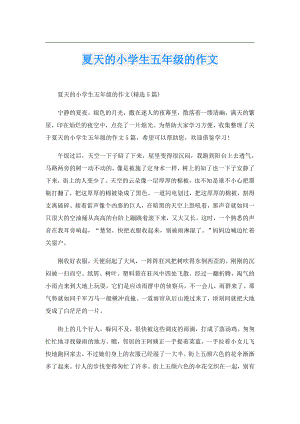 夏天的小学生五年级的作文.doc
