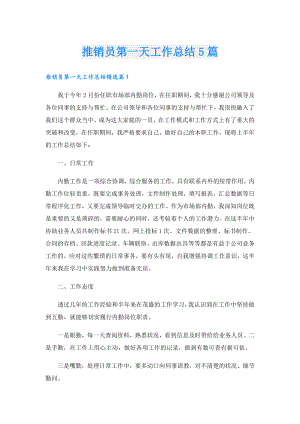 推销员第一天工作总结5篇.doc