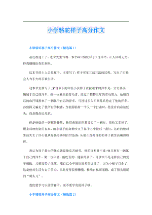 小学骆驼祥子高分作文.doc