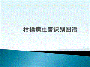 柑橘病虫害识别图谱.ppt