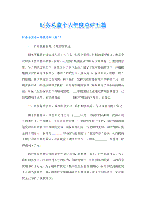 财务总监个人总结五篇.doc
