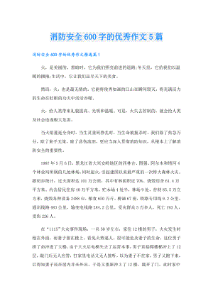 消防安全600字的优秀作文5篇.doc