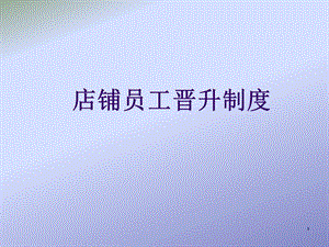 新店铺晋升管理制度.ppt