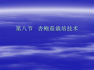 杏鲍菇栽培技术ppt.ppt