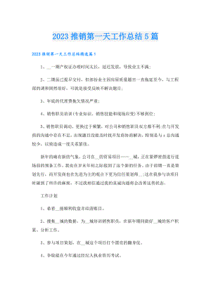 2023推销第一天工作总结5篇.doc