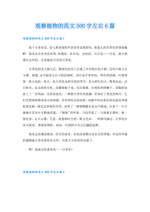 观察植物的范文500字左右6篇.doc